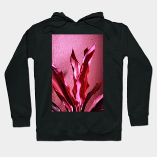 Pink Leaves Photography With Water Droplets Hoodie